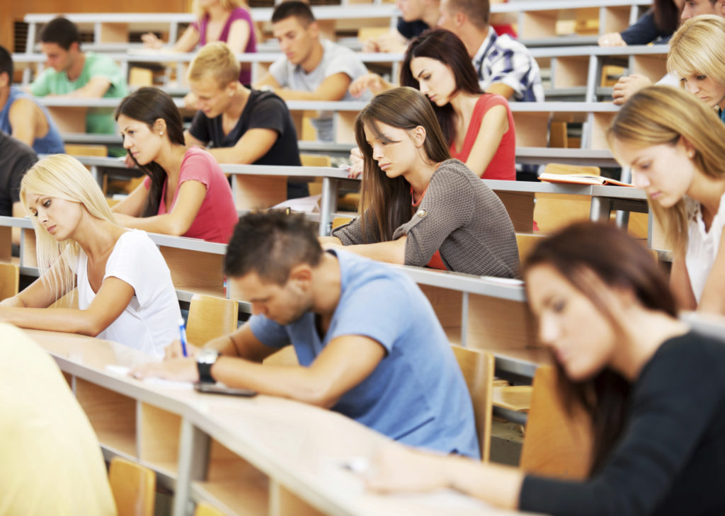 Second Year of University
