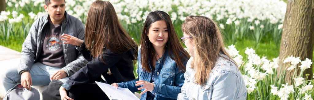How to Get Psychology Essay